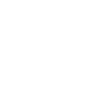 A secure website page icon
